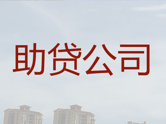 溧阳抵押贷款公司-信用贷款